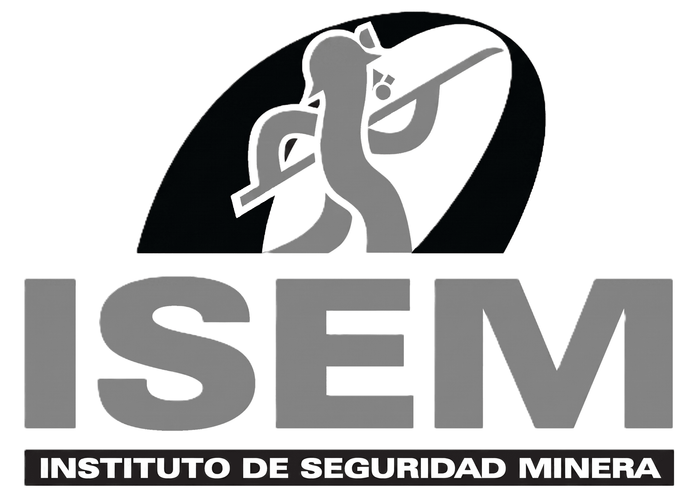 ISEM